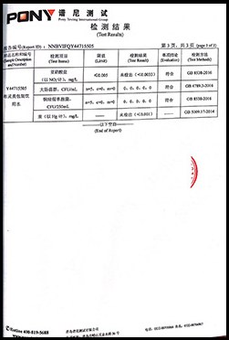 Pony Testing test report, page 4