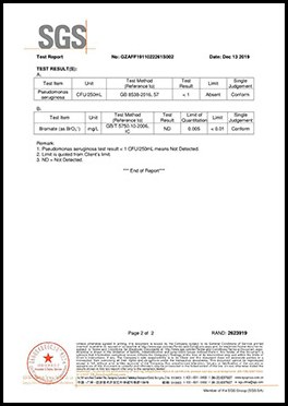 SGS product test report, page 4