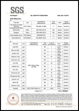 SGS product test report, page 6