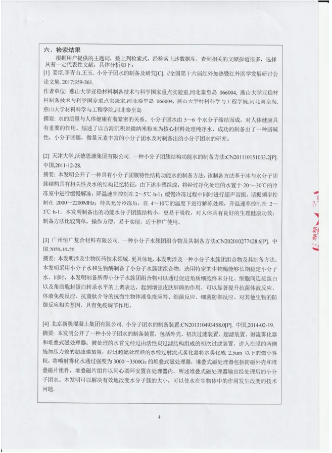 布灵美专利科技——“水小分子化系统”科技查新报告　配图 4