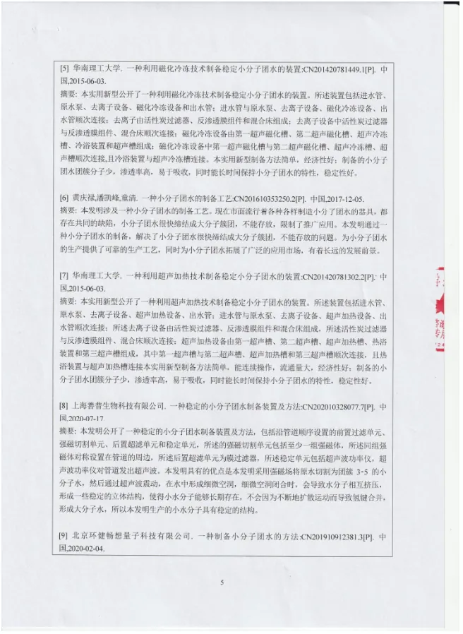 布灵美专利科技——“水小分子化系统”科技查新报告　配图 5