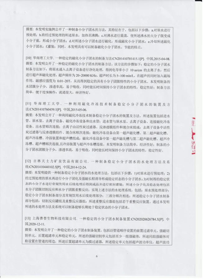 布灵美专利科技——“水小分子化系统”科技查新报告　配图 6