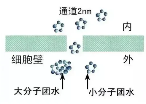 布灵美&Chojungtrade 亮相2021进博会,深耕中国健康水领域,重塑健康水理念 配图 9
